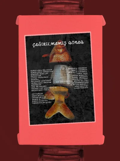 Çağırılmamış qonaq (2024)